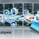 understanding-vellozgalgoen